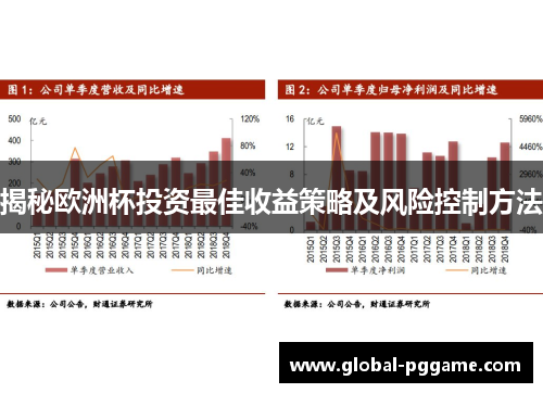 揭秘欧洲杯投资最佳收益策略及风险控制方法